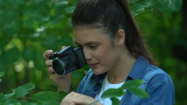 Genç bir kadın ağaçların fotoğraflarını çekiyor, bitki türlerini keşfediyor, doğaya hayranlık duyuyor. — Stok video