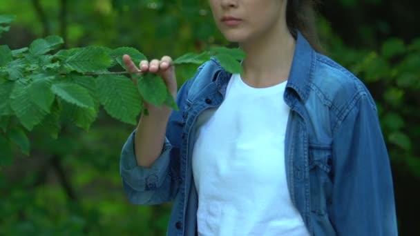Девушка наслаждается зелеными листьями, держа знамя Спасите планету, решить экологическую проблему — стоковое видео