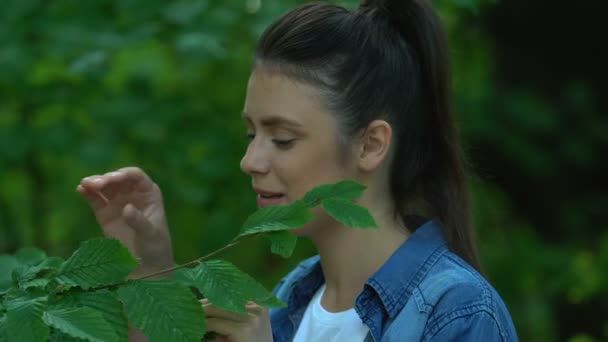 녹색 숲을 감탄하는 아름다운 여성, 엄지손가락을 들고 환경 보호를 보여 주는 모습 — 비디오