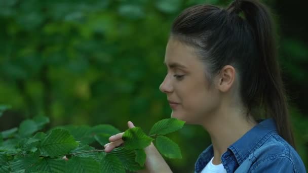 Hübsche Frau streichelt Baumblätter, zeigt Herzzeichen mit Fingern, liebt die Natur — Stockvideo