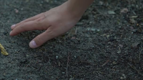 Agarramiento manual de tierra en bosques, agotamiento y contaminación del suelo, ecología — Vídeo de stock