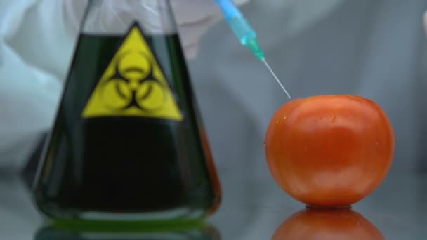 Mão na luva de borracha injetando líquido bioperigoso em tomate, teste de veneno — Vídeo de Stock