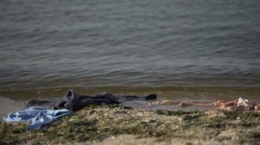 Deniz suyunda yıkanmış giysiler, gemi enkazı ölüm istatistikleri, tsunami.
