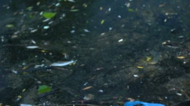 Zehirli plastik atık ile kirli göl, insan yaşamının zararlı etkisi, çevre