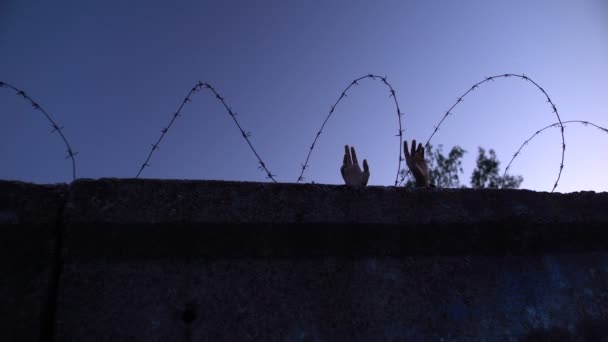 Children and adult hands behind barbed wire, forced settlements, refugee camp — Stock Video