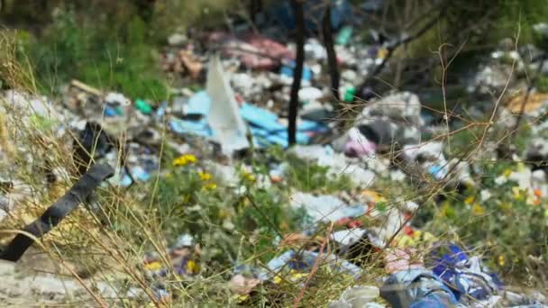 Öppen dumpning i vildskog, mänsklig påverkan på det ekologiska systemet, giftigt avfall — Stockvideo