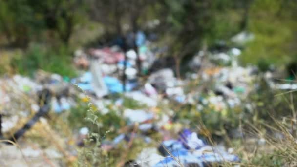 Mujer lanzando botella desechable en vertedero abierto en medio del bosque — Vídeos de Stock