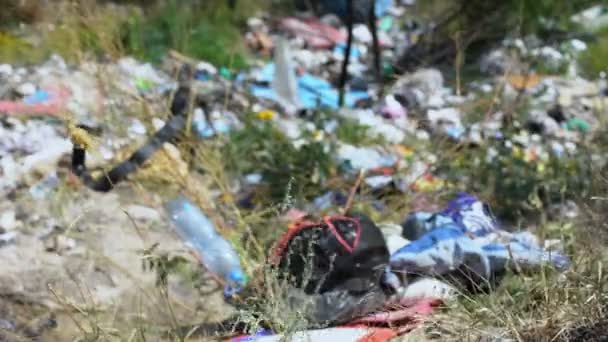 Vrouwelijke hand gooien wegwerpvoedsel container in open dumping in het bos — Stockvideo