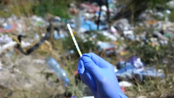 Hand in glove holding ph test strip against landfill background, pollution level — Stock Video