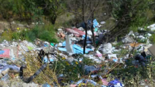 Hand houden groen blad schilderen op karton tegen open dumping, ecologie — Stockvideo