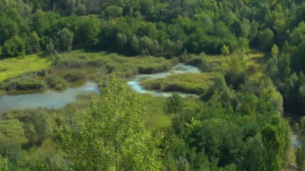 Río sucio en valle forestal, sistema ecológico, problemas ambientales, naturaleza — Vídeo de stock