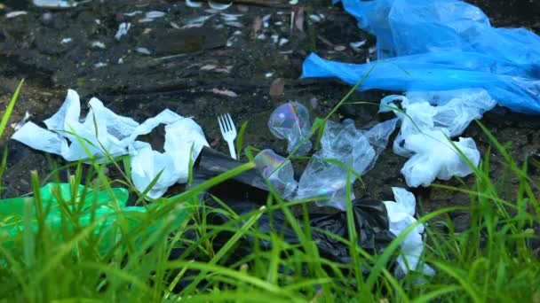 Residuos plásticos desechables en pantanos contaminados, influencia de personas irresponsables — Vídeos de Stock