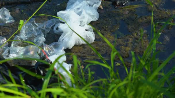 Muestra de mano en tubo de ensayo con señal de peligro biológico, agua del lago contaminado — Vídeos de Stock