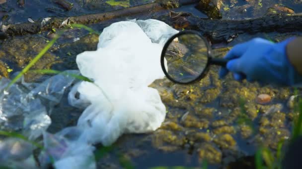Scientist with magnifying glass studying swamp polluted with plastic waste — Stock Video