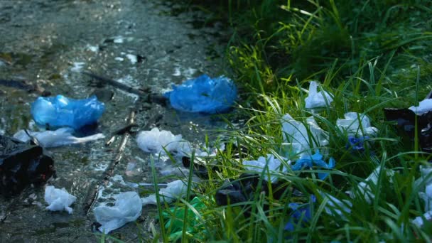Pessoa que leva saco plástico de lago poluído na floresta, problema de reciclagem de resíduos — Vídeo de Stock