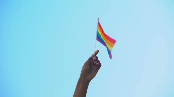 Mão de pessoa mista segurando bandeira da minoria lgbtiq bandeira, orgulho, ativismo — Vídeo de Stock