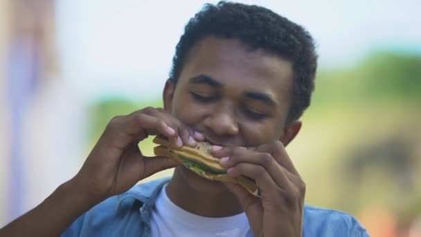 Büyük iştahlı, fast-food, yakın çekim sandviç yiyen melez bir genç. — Stok video