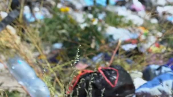 Çöp sahasına plastik konteynır atmak, doğaya karşı sorumsuz tavır. — Stok video