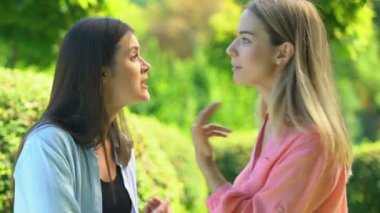 Kızgın bayan arkadaşlar parkta tartışıyor ve tartışıyorlar, arkadaşlık ilişkileri krizi