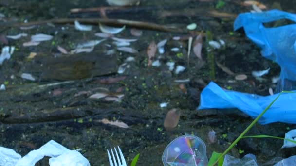 Vaisselle jetable en plastique couchée sur la décharge, pollution dangereuse des sols, danger — Video