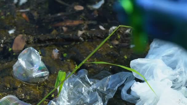 연구가 들은 쓰레기 매립지에 위험 한 액체가 들어 있는 관을 손으로 잡고, 검사한다 — 비디오