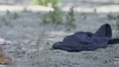 Deniz kıyısına saçılmış şeyler, gemi enkazı ve felaketler getiriyor.