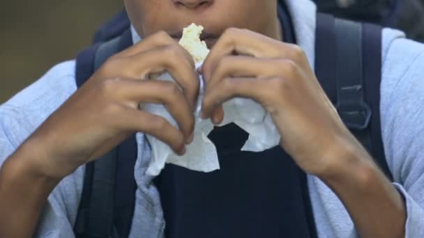 Hongerige afro-Amerikaanse jongeman bijt hamburger buiten, dakloosheid concept — Stockvideo