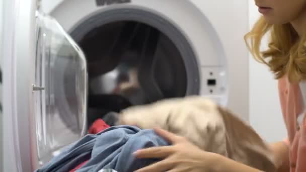 Exhausted young housewife loading washing machine, tired of everyday routine — Stock Video