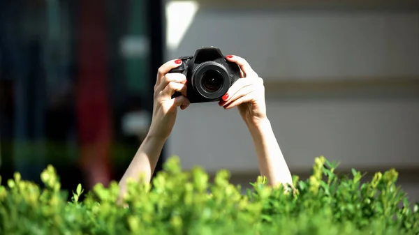 Woman Hands Holding Photo Camera Park Bush Private Detective Spying — Stock Photo, Image