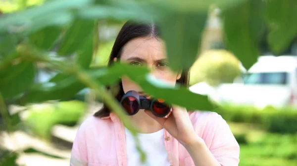 Female Journalist Binoculars Hiding Trees Searching Sensation — Stock Photo, Image