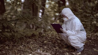 Orman yapraklarını analiz eden kadın biyolog laboratuvar raporu, radyoloji