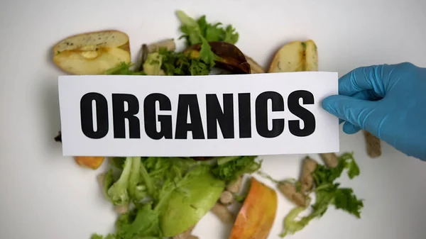 Słowo Organics Wprowadzone Odpady Ulegających Biodegradacji Leżącej Stole Alternatywne Źródło — Zdjęcie stockowe