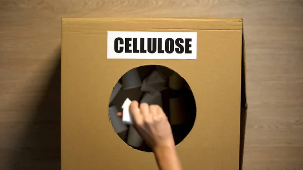 Cellulose Woord Geschreven Doos Voor Papieren Bekers Verzamelen Van Afval — Stockfoto
