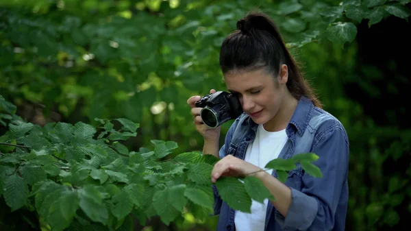 Female Photographer Taking Photo Green Tree Leaves Park Naturalist Hobby — Stock Photo, Image