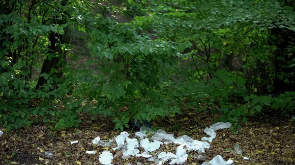 Пластиковый Мусор Лежит Земле Лесу Охрана Природы Чрезмерное Потребление — стоковое фото