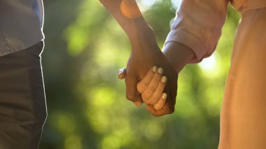 Multiracial couple holding hands at sunny park, romantic and intimacy, close-up clipart