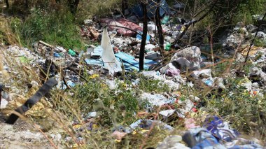 Vahşi ormana açık çöplük, ekolojik sistem üzerindeki insan etkisi, zehirli atık