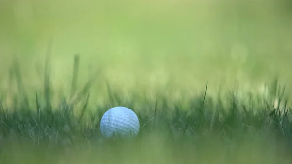 Biała Piłka Golfowa Leżąca Trawie Kursu Profesjonalny Sprzęt Sportowy Hobby — Zdjęcie stockowe