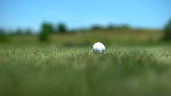 Ammattimainen Golfpallo Kentällä Ammattilaisurheiluvälineet Peli — kuvapankkivalokuva