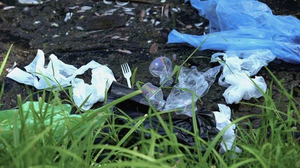 汚染された土の中の使い捨てプラスチック廃棄物 無責任な人々の影響 — ストック写真