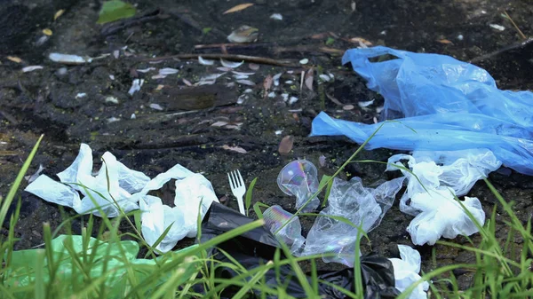 Lago Sporco Con Rifiuti Tossici Plastica Impatto Nocivo Della Vita — Foto Stock