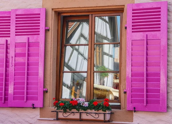 Opened pink windows with flowers on a rose wall