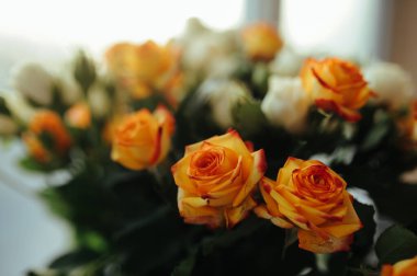 çok renkli, yemyeşil güller turuncu ve beyaz güllerden.