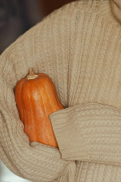 Grande Laranja Alongada Abóbora Madura Nas Mãos Camisola Tamanho Grande — Fotografia de Stock