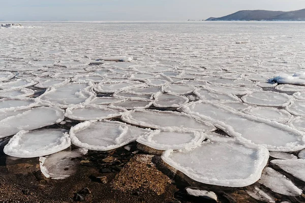 Koude Zee Bedekt Met Ongewone Kleine Ronde Ijspegels Smeltend Ijs — Stockfoto