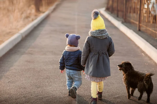 Bir erkek ve bir kız, sıcak ceketler ve renkli şapkalar içinde, yanında siyah bir köpekle, sıkıca el ele tutuşup yol boyunca dümdüz yürüyecekler.