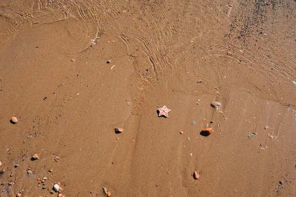 Behang Zand Schoon Strand Van Nat Zand Met Kleine Stenen — Stockfoto