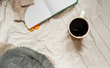 Kediler gri kuyruk, beyaz çarşaflı defter, bej örgü süveter, kırışık yatakta siyah kahve, üst manzara, tek renkli rahat sonbahar resmi.