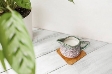 Küçük porselen sürahi süt ve hafif ahşap bir masa üzerinde saksıda calathea bitkisi.