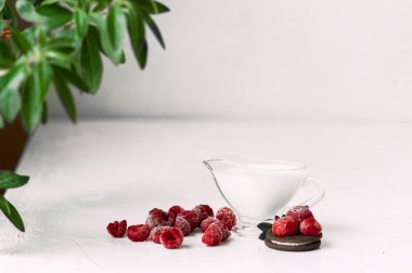 Küçük bardakta süt, taze ahududu, çikolata parçacıklı kurabiye ve beyaz beton bir masada bir tutam nane şekeri.